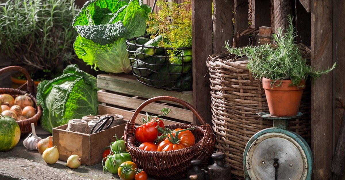 Как правильно хранить урожай в квартире: овощи, фрукты, зелень | Ямал-Медиа